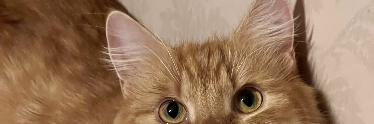mimiukas's profile banner image