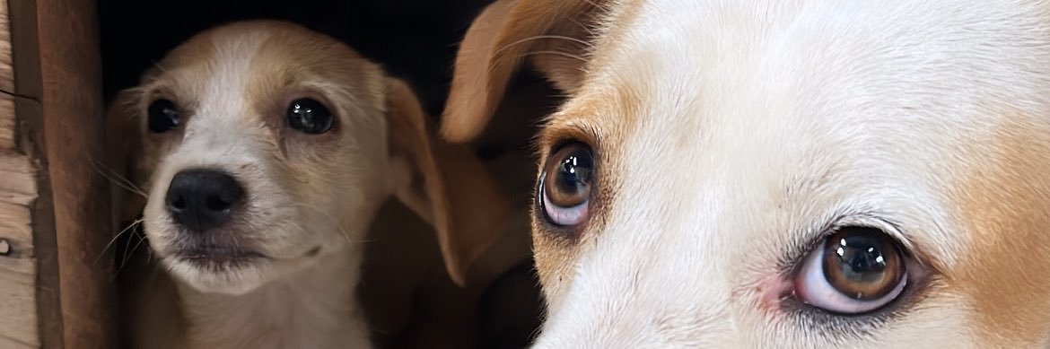 ffermt's profile banner image