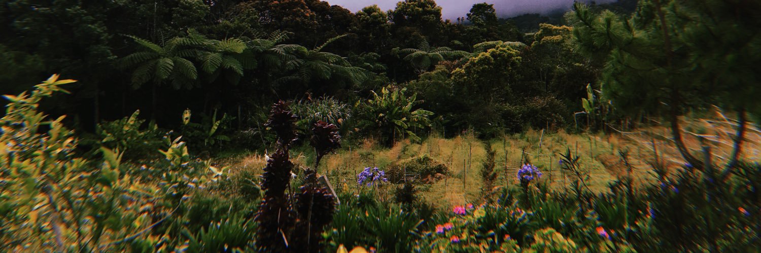 Hmfdb's profile banner image