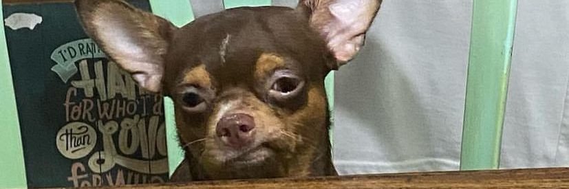 TACVERONEZ's profile banner image