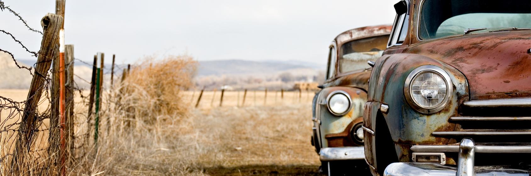 thedailybasics's profile banner image