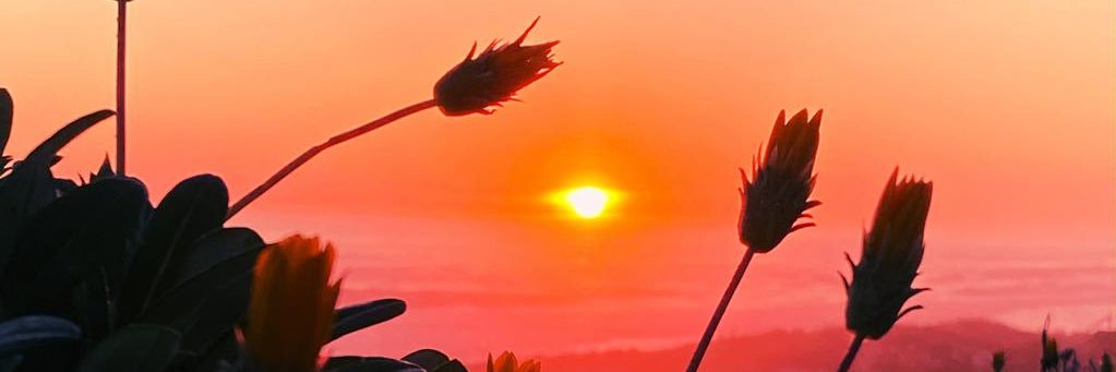 teeks794's profile banner image