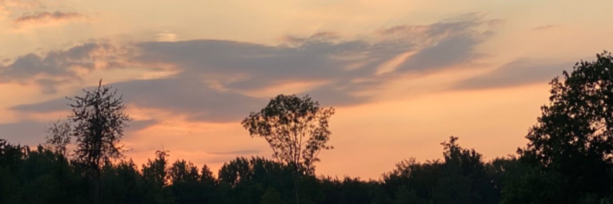 Aline Bortone banner