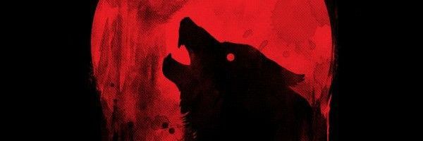 DavidGotre's profile banner image
