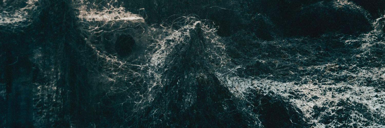 cdrodger's profile banner image