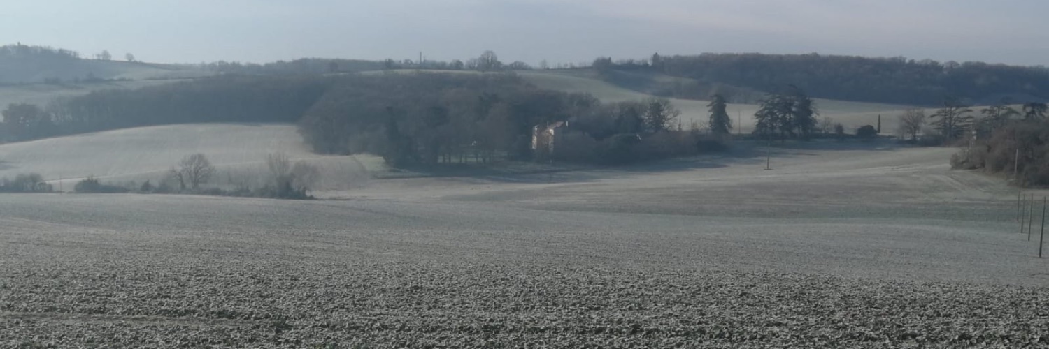 benjamin bodart banner