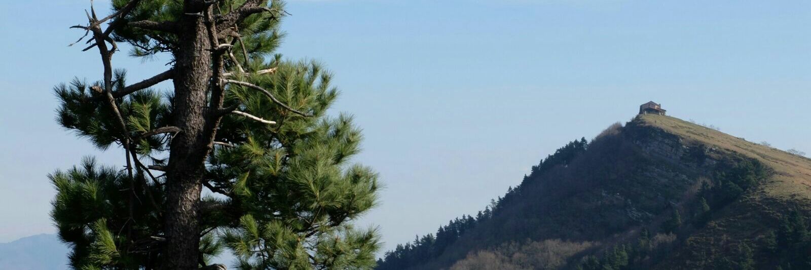 Estibiritxu's profile banner image