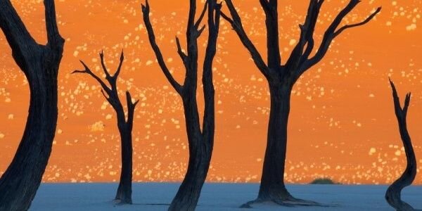 griefeater's profile banner image