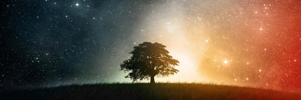 pterwin87's profile banner image