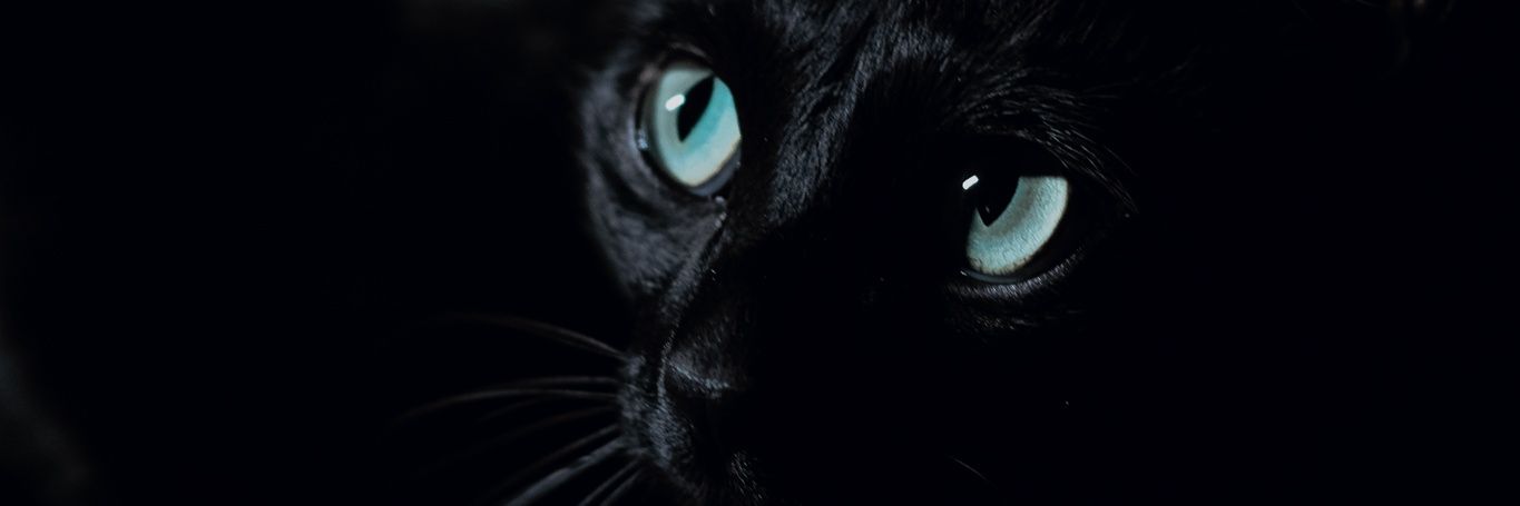yeahglau's profile banner image