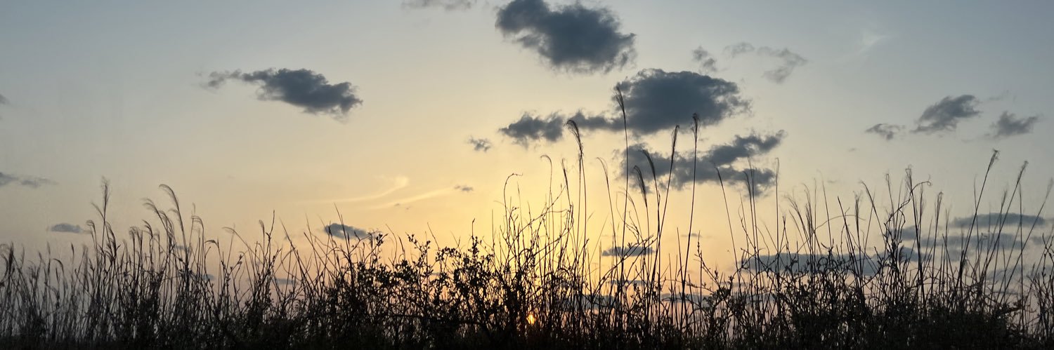hanaphotography's profile banner image