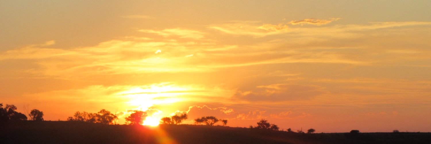 maria_lawton's profile banner image