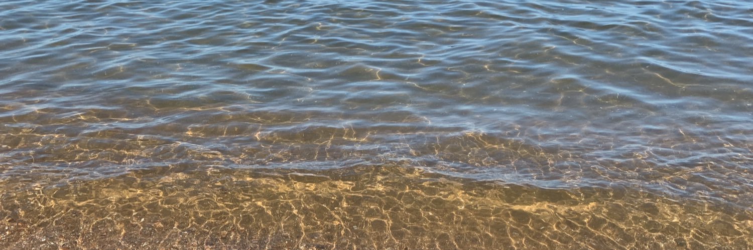 Paula Gonzalez banner