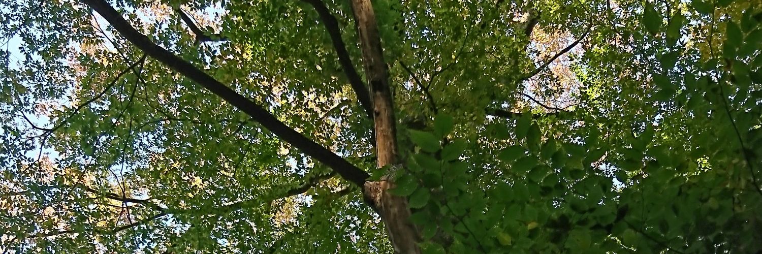 12Anderson27's profile banner image