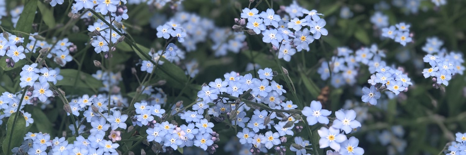 andreabell_9's profile banner image