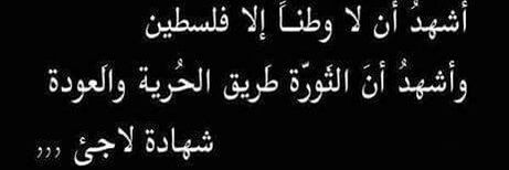 tima_yahia's profile banner image