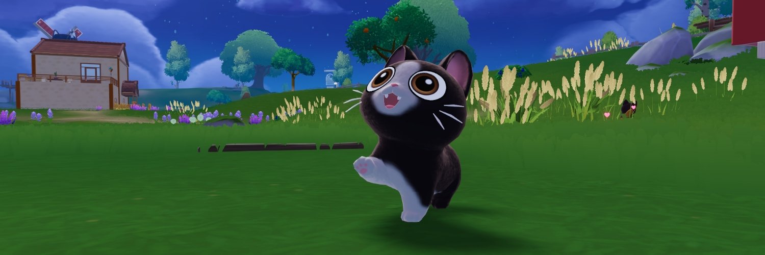 zooshi banner