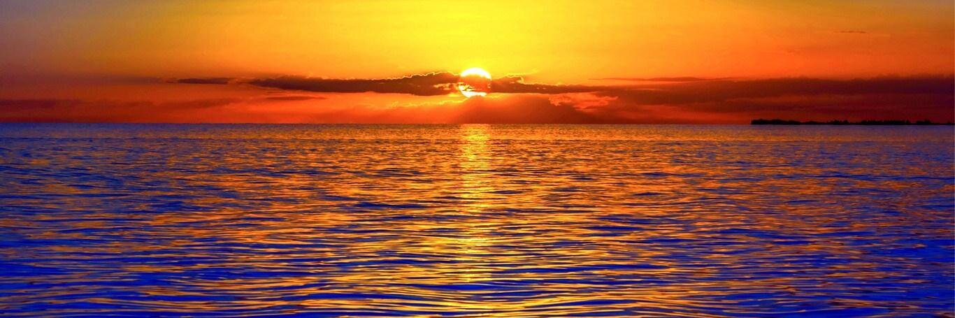 Glynis McCants banner