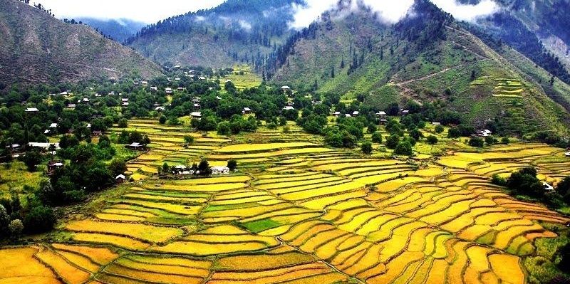 raheel bokhari banner