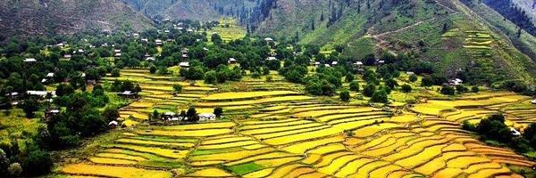 rhl173 Profile Banner