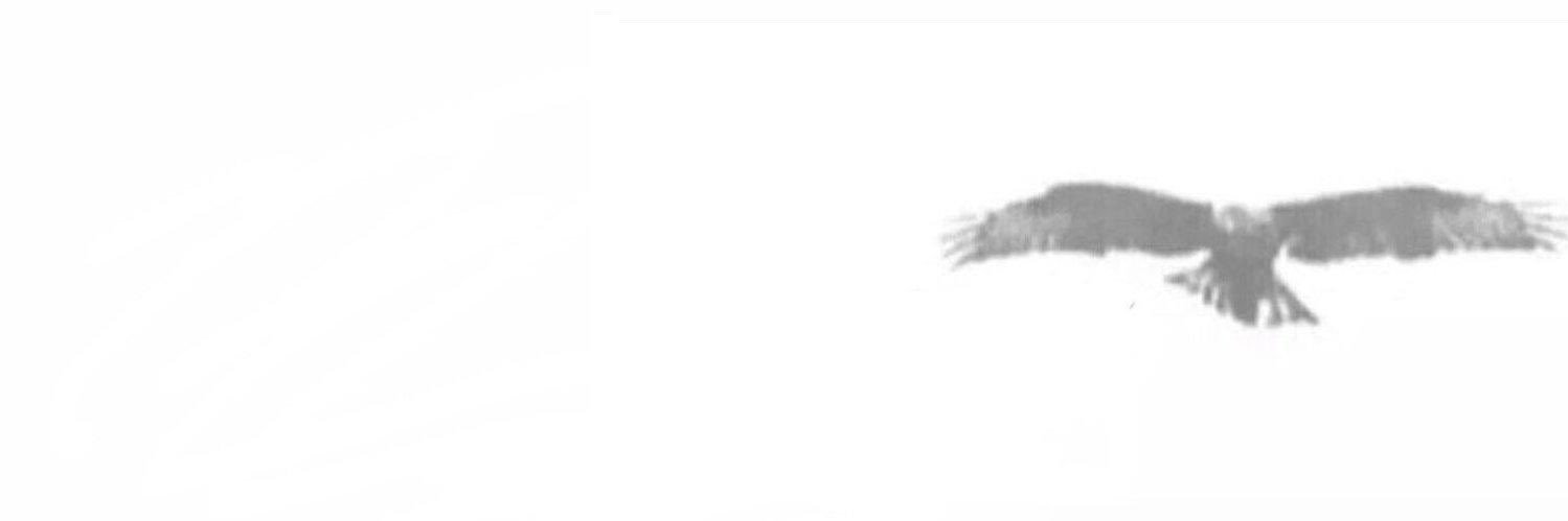 FMM_55's profile banner image