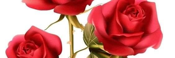 tufekli1983's profile banner image