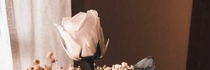 Mhdanggaprtma's profile banner image