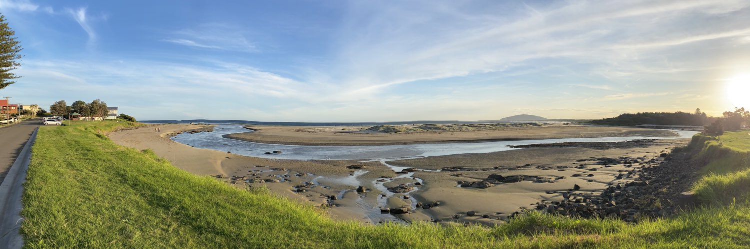 Dr Kimberley Pressick-Kilborn banner