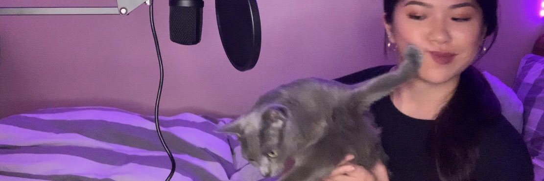 rincaxo's profile banner image