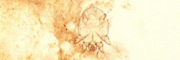 GregHoslerMDPhD Profile Banner