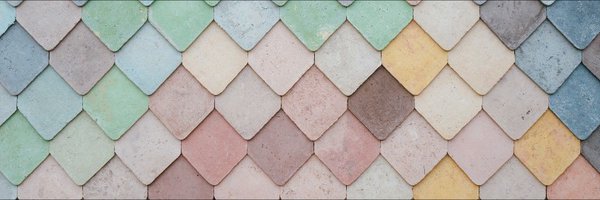 zig_max Profile Banner