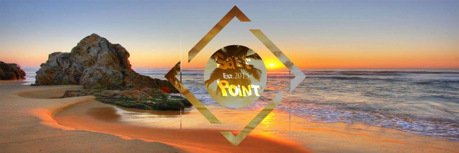 SaltyPoint's profile banner image