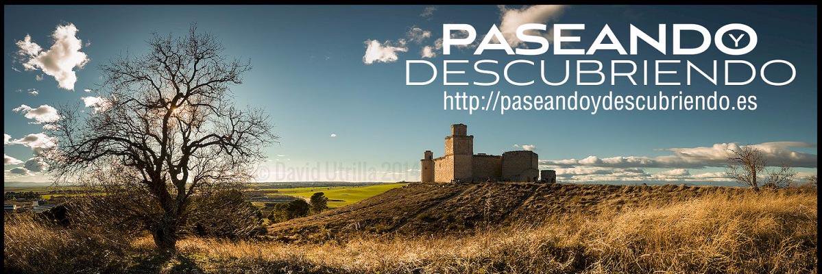 paseandoydescu's profile banner image