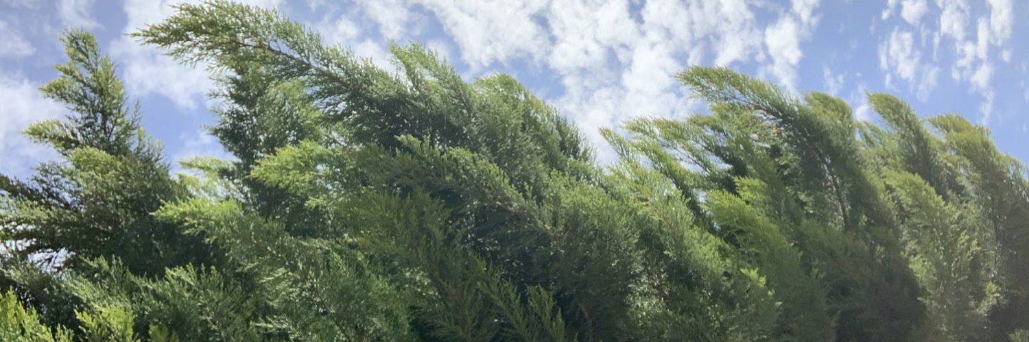 Sha_ra16's profile banner image