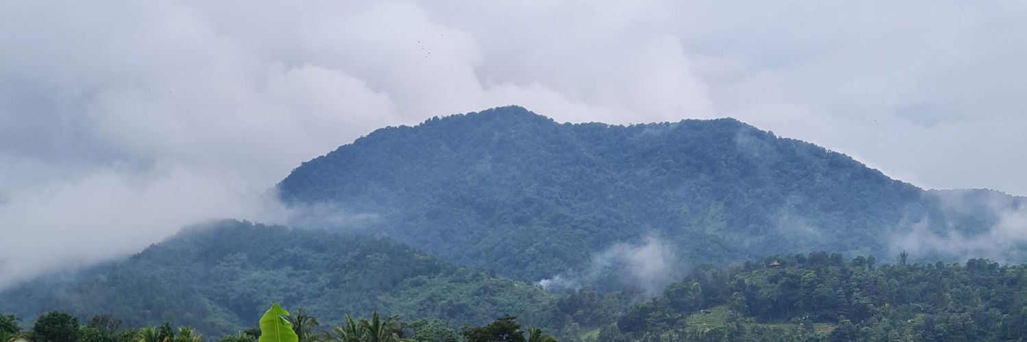 rumahkvcing's profile banner image