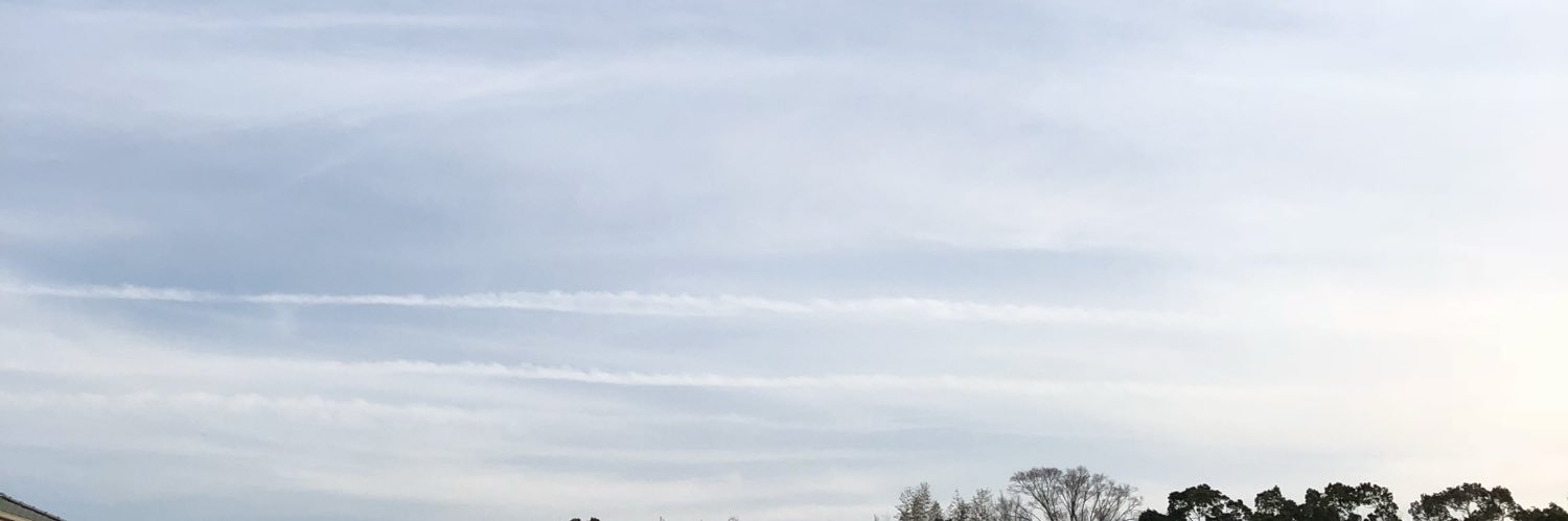 usamameume's profile banner image