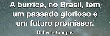 José Mário 🇧🇷 banner