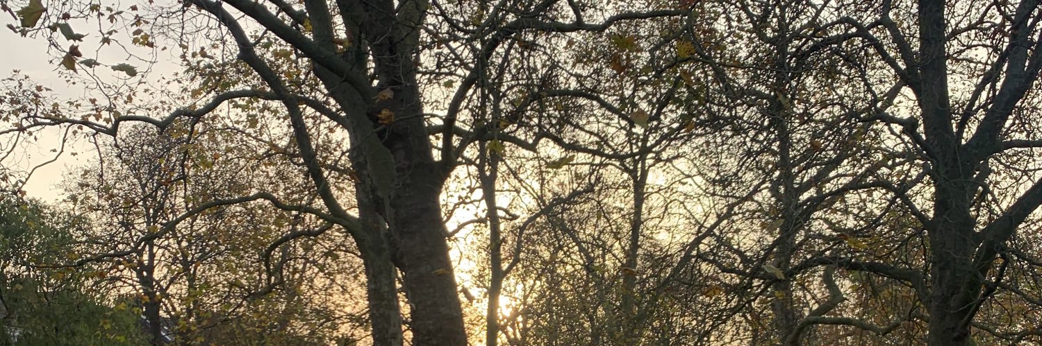susiewoodbridge's profile banner image