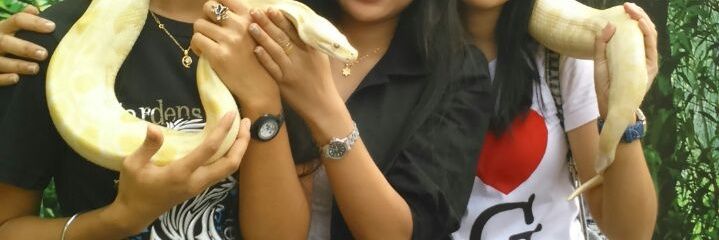 ernarwati's profile banner image
