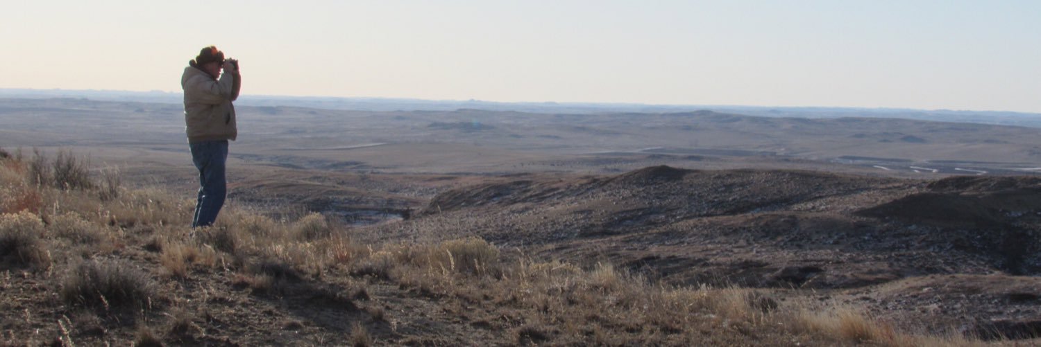 ReyFuglestad's profile banner image