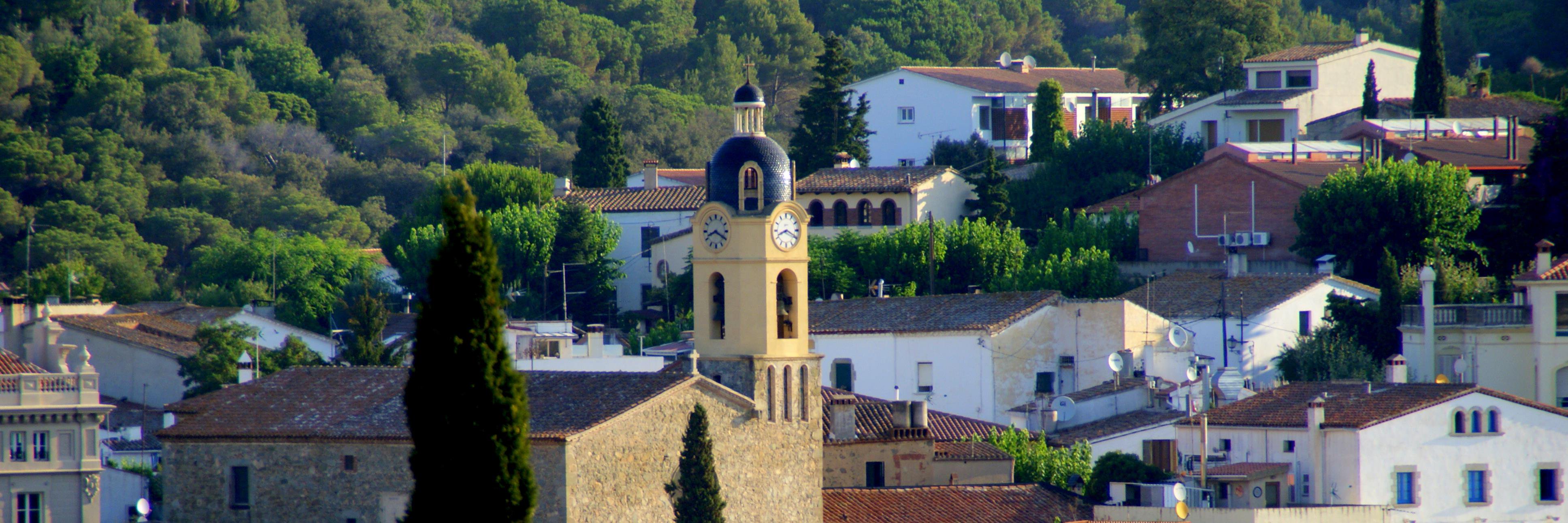 TaxiCabrils banner