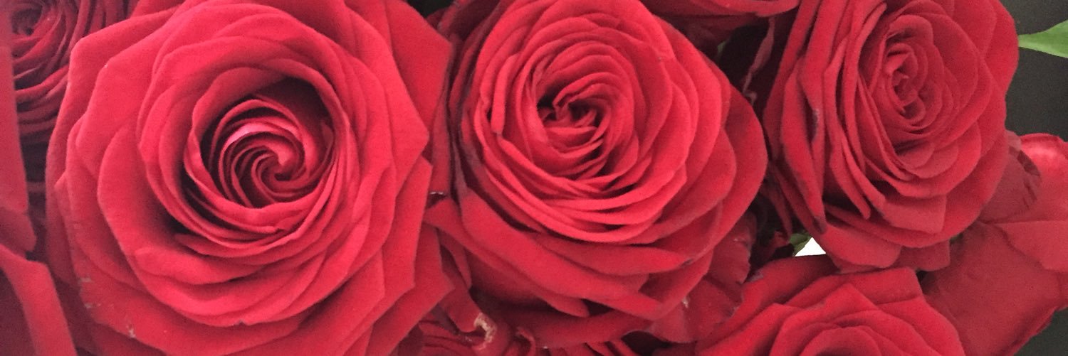 FrancescaNoto's profile banner image