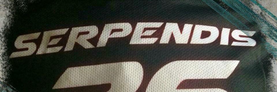 Serpendis's profile banner image
