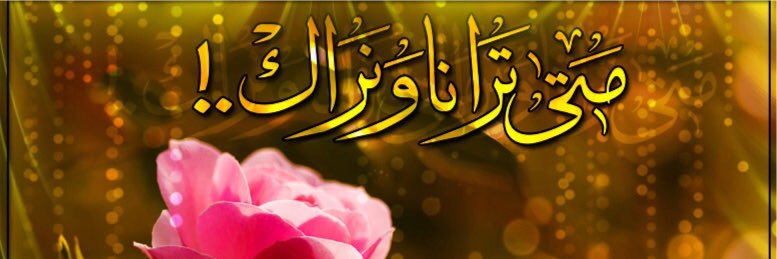 ali6345581's profile banner image