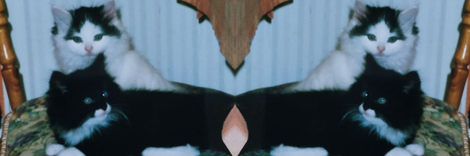 ellaapreece's profile banner image