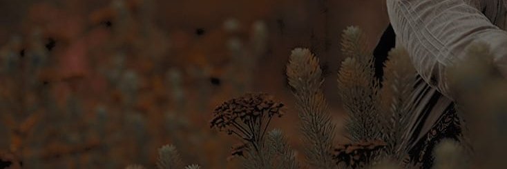 ᅠᅠᅠ。 𝕭𝐑𝐈𝐗 。 banner