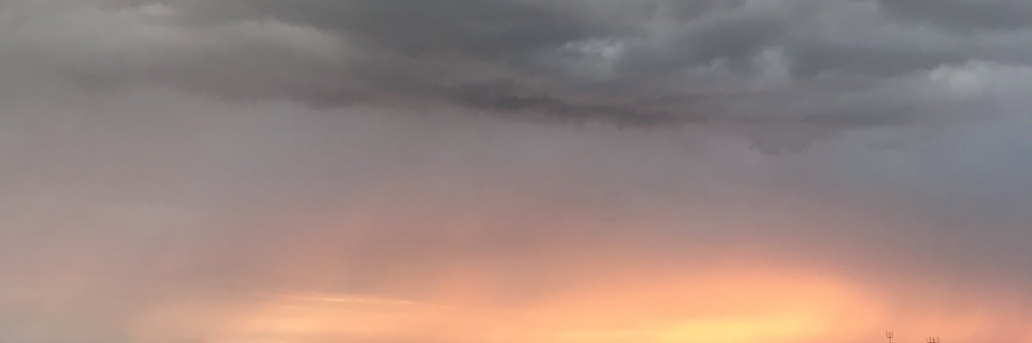 LeilandWolf's profile banner image