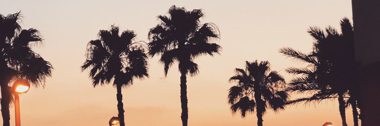_mkdevine's profile banner image