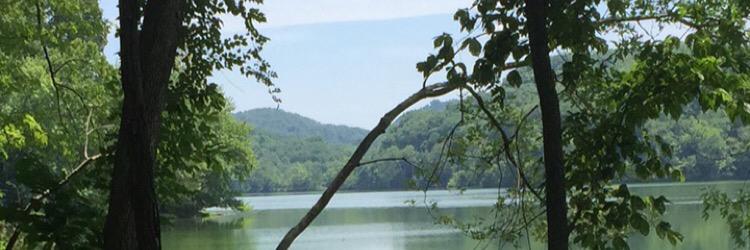 LucyWildman4's profile banner image