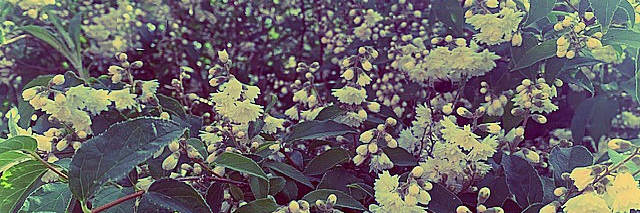 MarieSara92's profile banner image